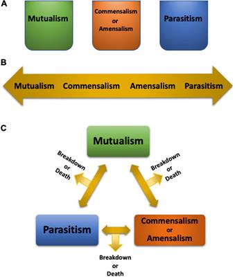 Climate Change Leads to a Reduction in Symbiotic Derived Cnidarian Biodiversity on Coral Reefs